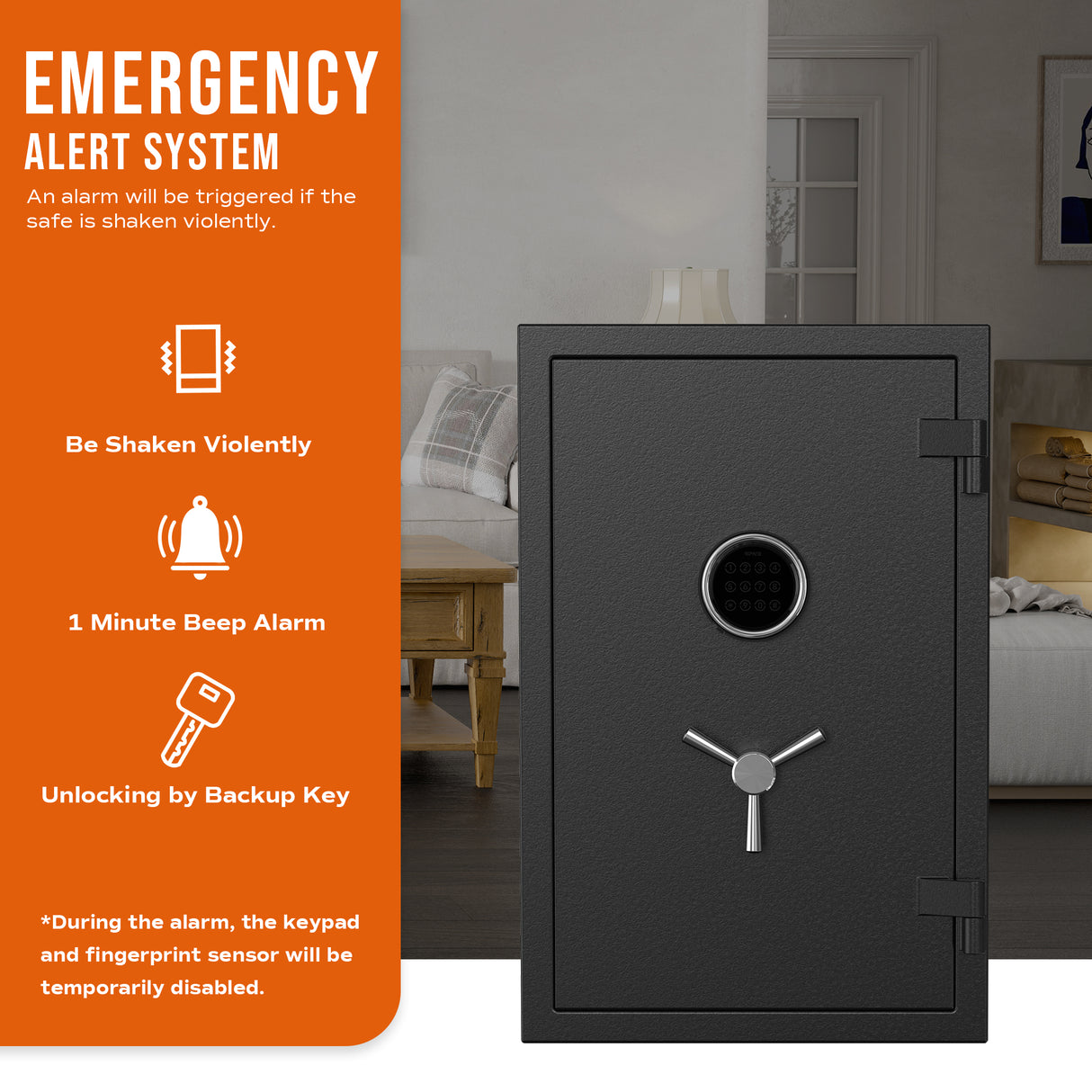 RPNB - RPEFS66 - Digital Keypad Fireproof Safe, Deluxe Home Safe, 2.12 Cubic Feet