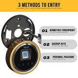 RPNB - RPFS14-B - 14 Gun Large Fireproof Biometric Digital Rifle Safe for Pistols and Rifles, Black