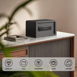 RPNB - RP20FSA -Biometric Home Safe with Fingerprint Digital Lock for Cash & Jewelry, 0.3 cu. ft.