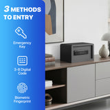 RPNB - RP20FSA -Biometric Home Safe with Fingerprint Digital Lock for Cash & Jewelry, 0.3 cu. ft.