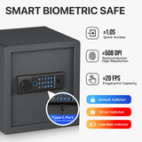 RPNB - RP36FSA - Biometric Home Safe with Fingerprint Digital Lock for Cash & Jewelry, 1.2 cu. ft.
