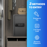 RPNB - RP50FSA - Biometric Home Safe with Fingerprint Digital Lock for Cash & Jewelry, 1.8 cu. ft.