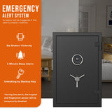 RPNB - RPFS66 - Deluxe Biometric Fireproof Safe with Touch Screen Keypad, 2.12 Cubic Feet