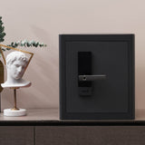 RPNB - RPHS45 - Smart Touch Screen Biometric Fingerprint Security Deluxe Safe Box, 1.6 Cubic Feet