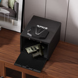 RPNB - RP2002 - Quick Access Biometric Pistol Safe With Electronic Lock